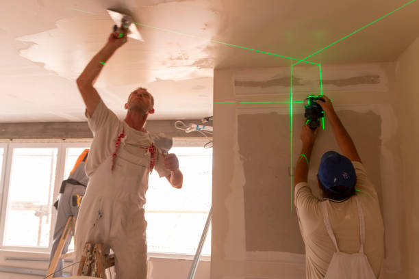 Best Water-Damaged Drywall Repair  in Panora, IA