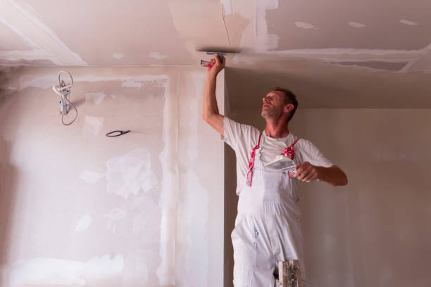 Professional Dry wall and painting in Panora, IA